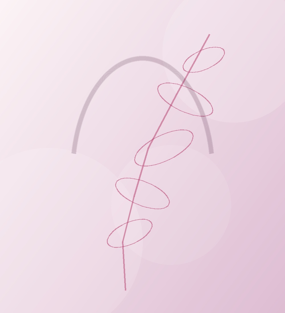 Founder: Dr. Amal Touma